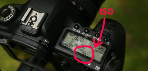 Camera ISO